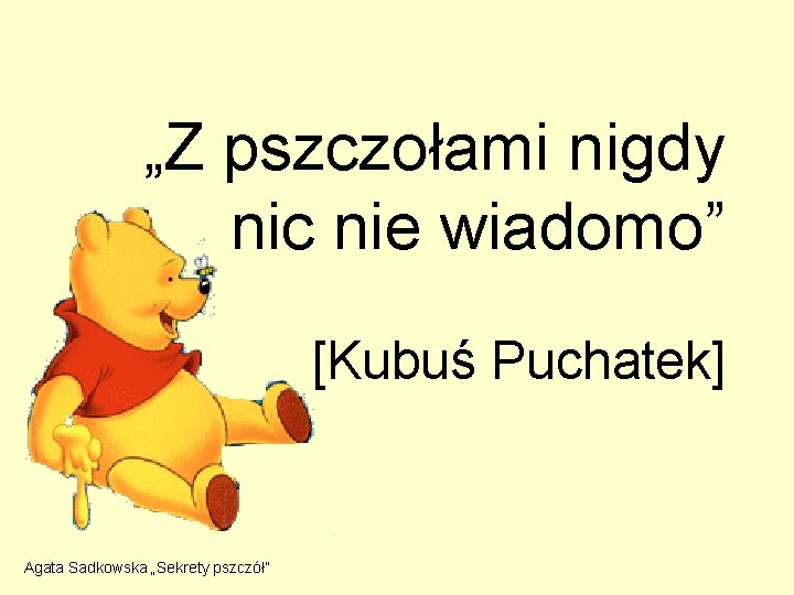 „Z pszczołami nigdy nic nie wiadomo” [Kubuś Puchatek] Agata Sadkowska „Sekrety pszczół” 