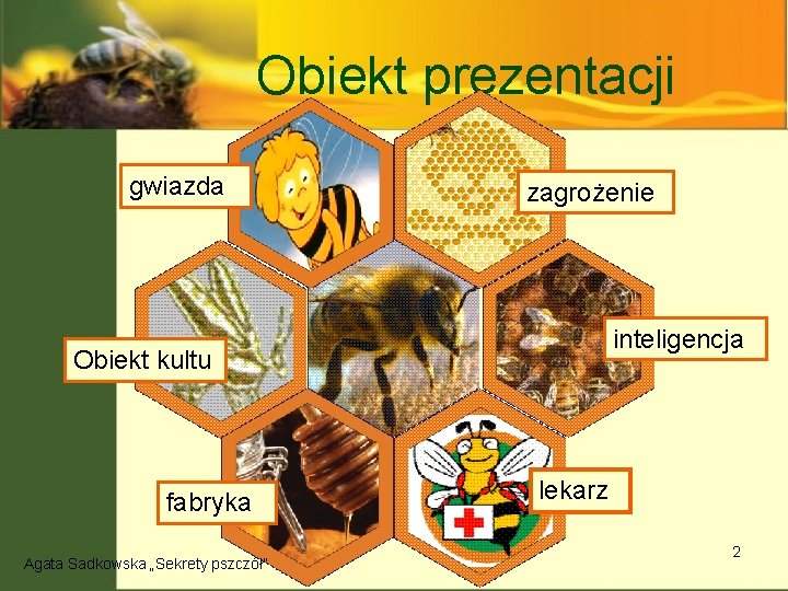 Obiekt prezentacji gwiazda zagrożenie inteligencja Obiekt kultu fabryka Agata Sadkowska „Sekrety pszczół” lekarz 2