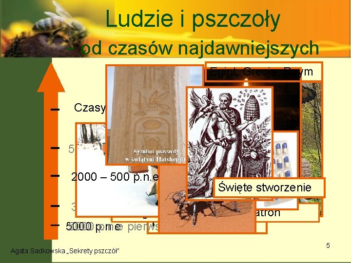 Ludzie i pszczoły - od czasów najdawniejszych Kreta Egipt, Grecja, Rzym Czasy współczesne 500