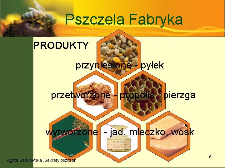 Pszczela Fabryka PRODUKTY przyniesione - pyłek przetworzone - propolis, pierzga wytworzone - jad, mleczko,