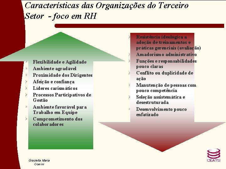 Características das Organizações do Terceiro Setor - foco em RH Flexibilidade e Agilidade Ambiente