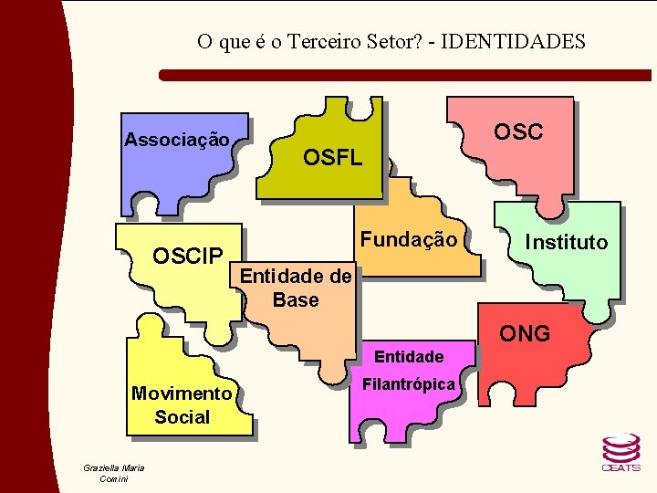 O que é o Terceiro Setor? - IDENTIDADES Associação OSCIP OSC OSFL Fundação Instituto