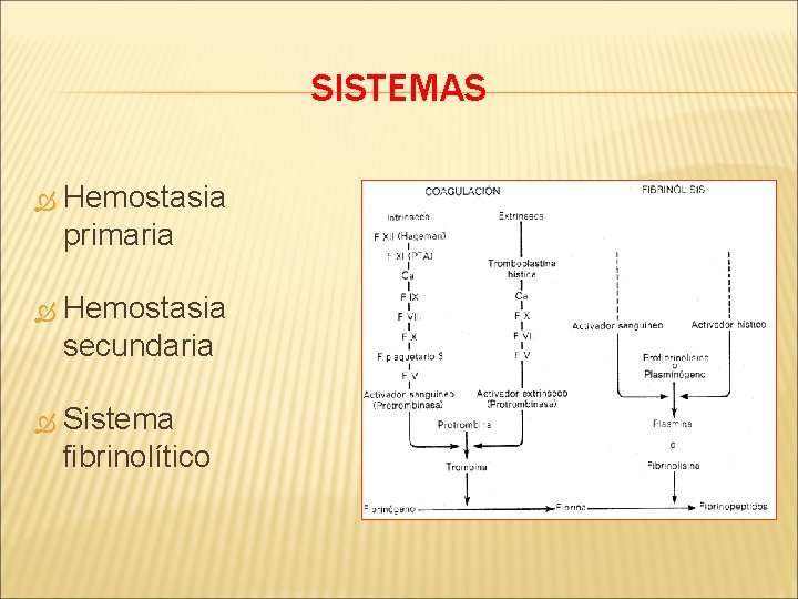 SISTEMAS Hemostasia primaria Hemostasia secundaria Sistema fibrinolítico 