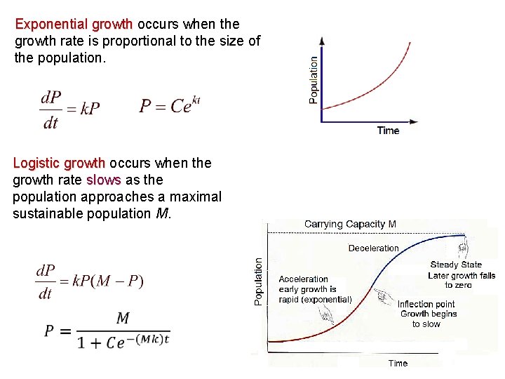 Exponential growth occurs when the Exponential growth rate is proportional to the size of Exponential growth occurs when the Exponential growth rate is proportional to the size of