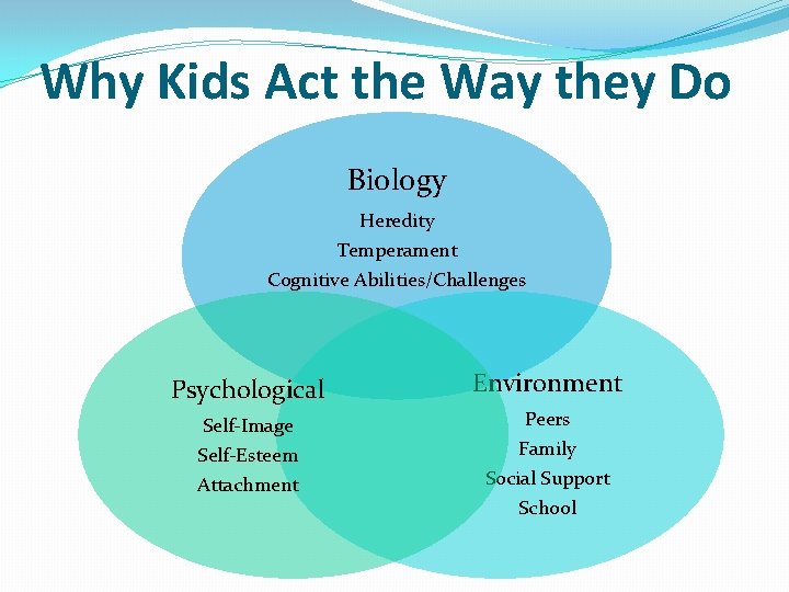 Why Kids Act the Way they Do Biology Heredity Temperament Cognitive Abilities/Challenges Psychological Environment