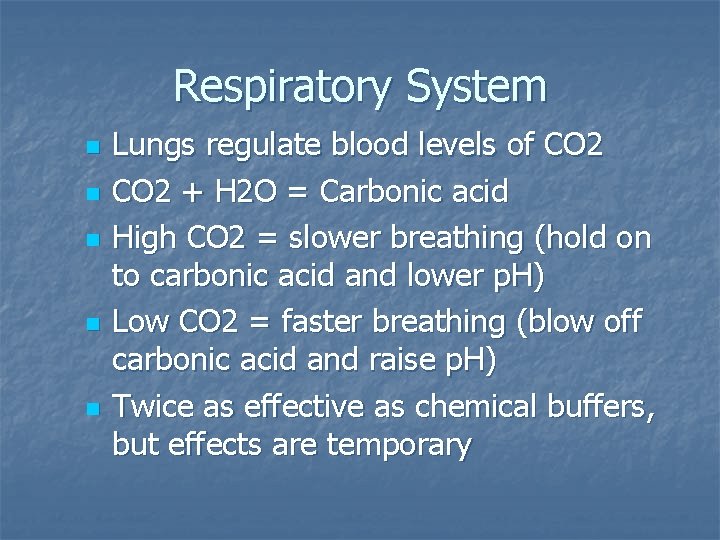 Respiratory System n n n Lungs regulate blood levels of CO 2 + H