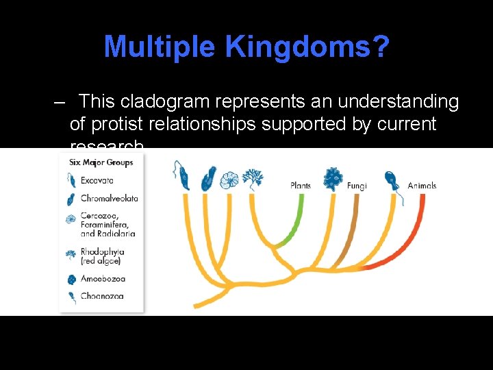 Multiple Kingdoms? – This cladogram represents an understanding of protist relationships supported by current