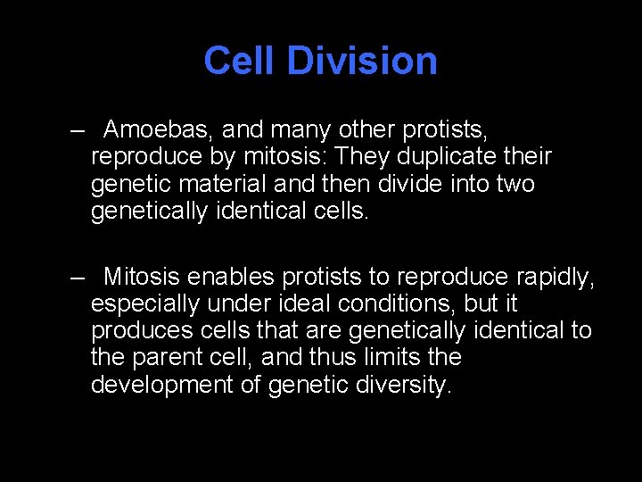 Cell Division – Amoebas, and many other protists, reproduce by mitosis: They duplicate their