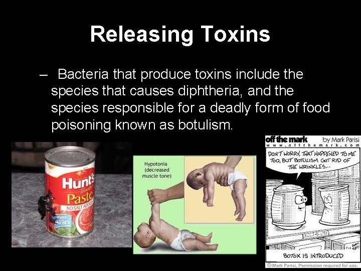 Releasing Toxins – Bacteria that produce toxins include the species that causes diphtheria, and