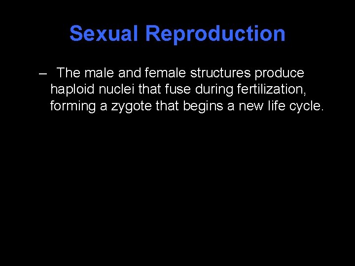 Sexual Reproduction – The male and female structures produce haploid nuclei that fuse during