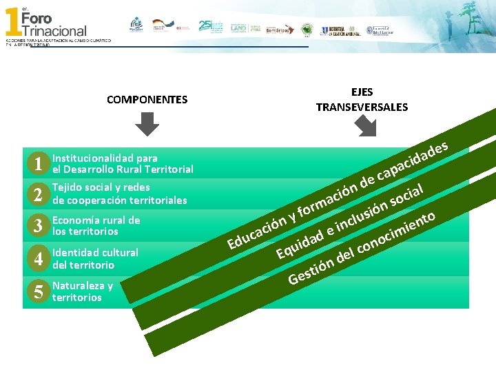 EJES TRANSEVERSALES COMPONENTES 1 Institucionalidad para el Desarrollo Rural Territorial 2 Tejido social y