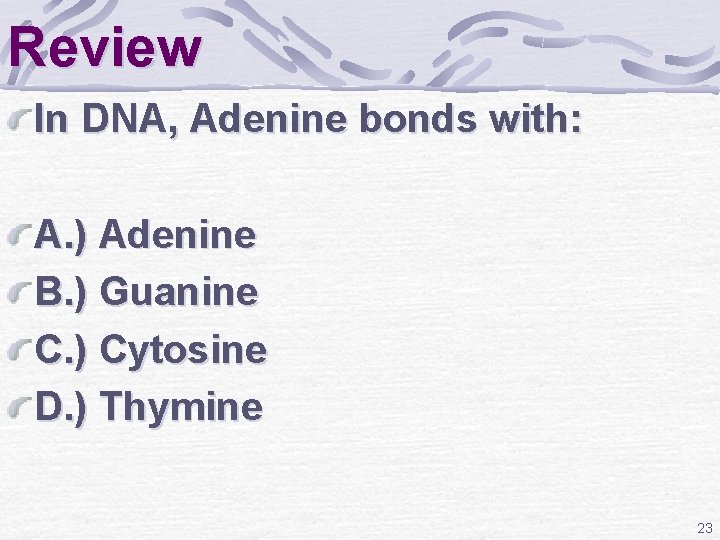 Review In DNA, Adenine bonds with: A. ) Adenine B. ) Guanine C. )