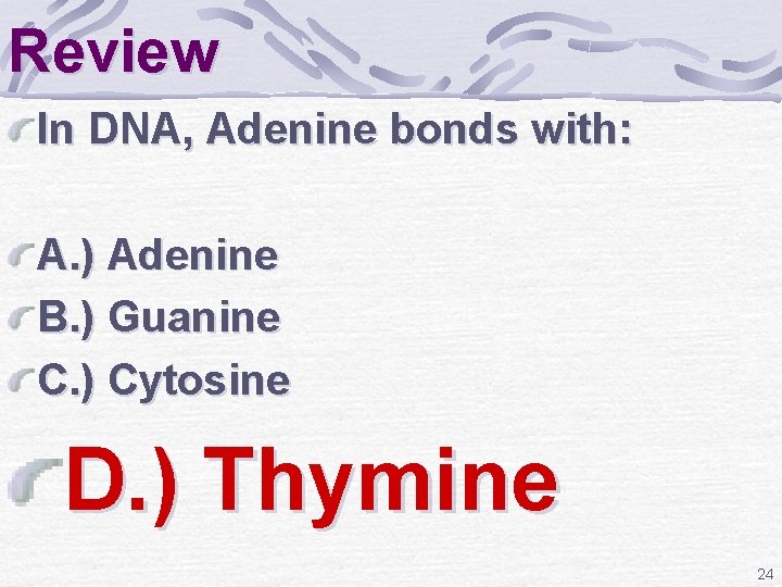Review In DNA, Adenine bonds with: A. ) Adenine B. ) Guanine C. )