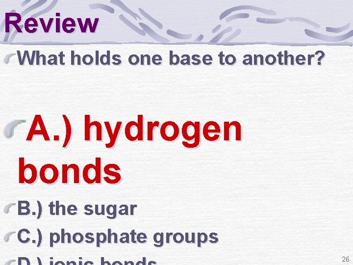 Review What holds one base to another? A. ) hydrogen bonds B. ) the