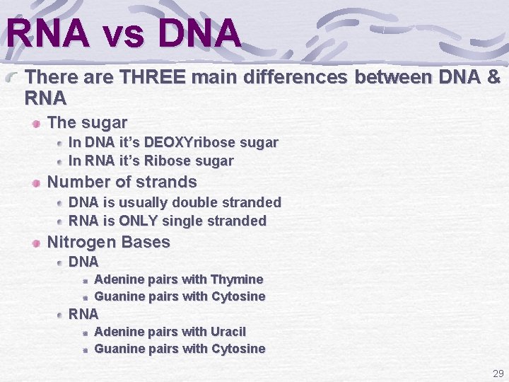 RNA vs DNA There are THREE main differences between DNA & RNA The sugar