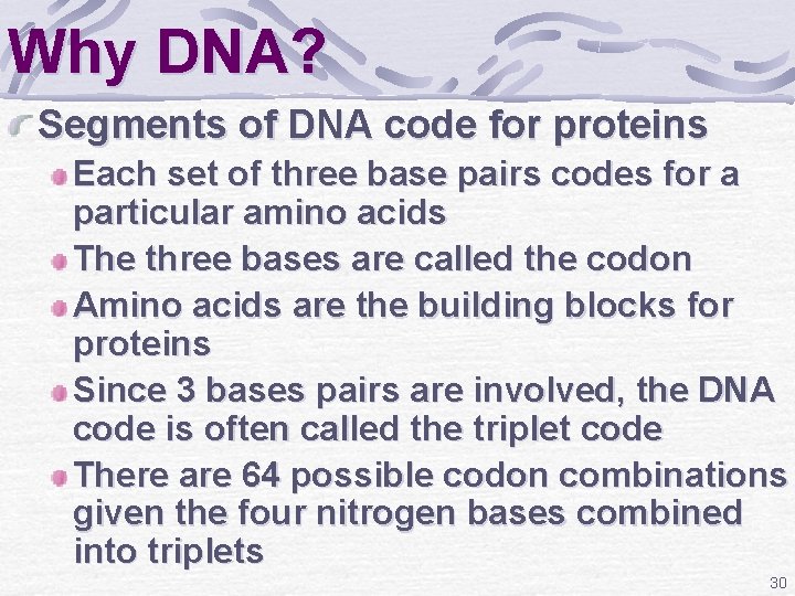 Why DNA? Segments of DNA code for proteins Each set of three base pairs