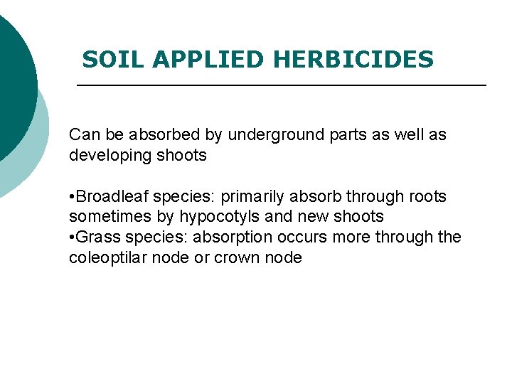 SOIL APPLIED HERBICIDES Can be absorbed by underground parts as well as developing shoots