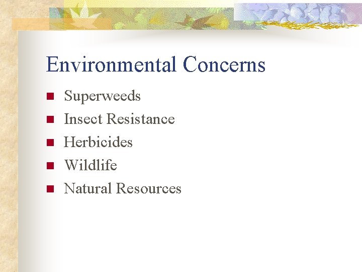 Environmental Concerns n n n Superweeds Insect Resistance Herbicides Wildlife Natural Resources 