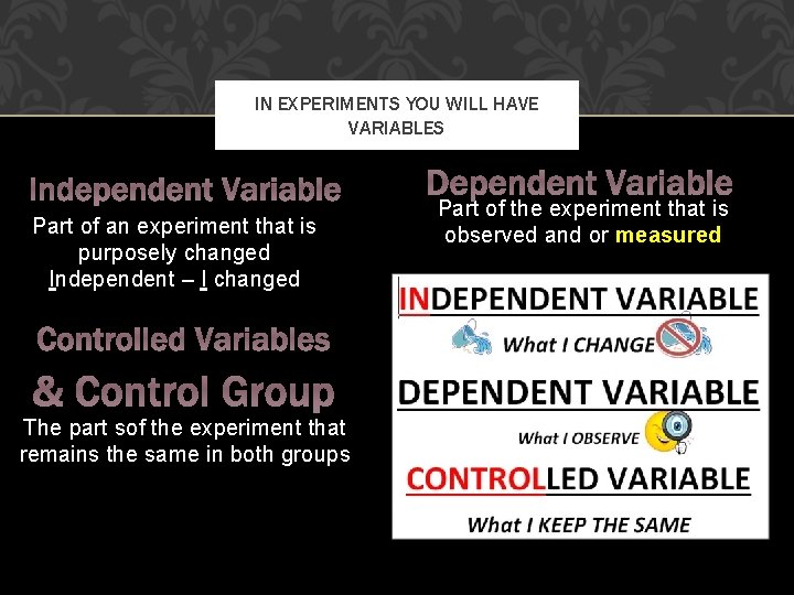 IN EXPERIMENTS YOU WILL HAVE VARIABLES Independent Variable Part of an experiment that is