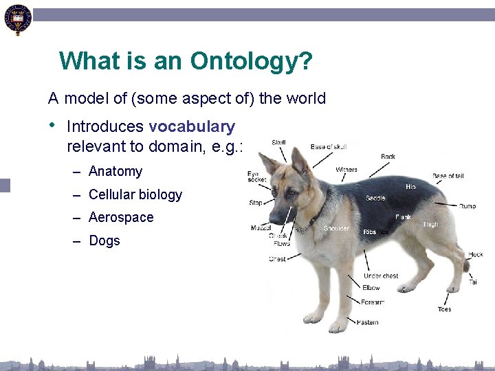 What is an Ontology? A model of (some aspect of) the world • Introduces