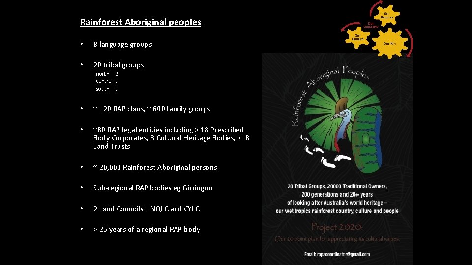 Rainforest Aboriginal peoples • 8 language groups • 20 tribal groups north 2 central