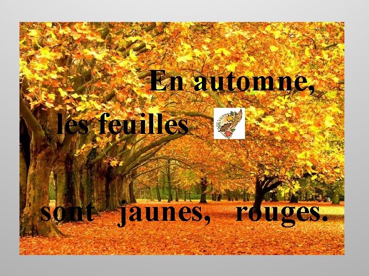 En automne, les feuilles sont jaunes, rouges. 