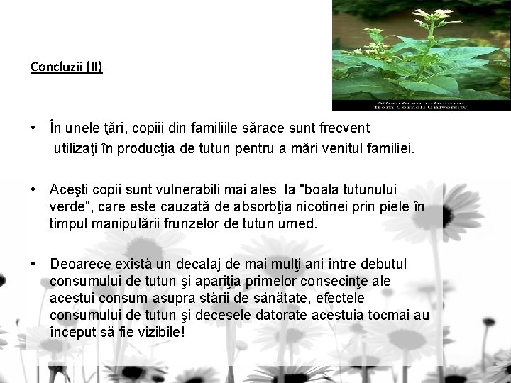 Concluzii (II) • În unele ţări, copiii din familiile sărace sunt frecvent utilizaţi în