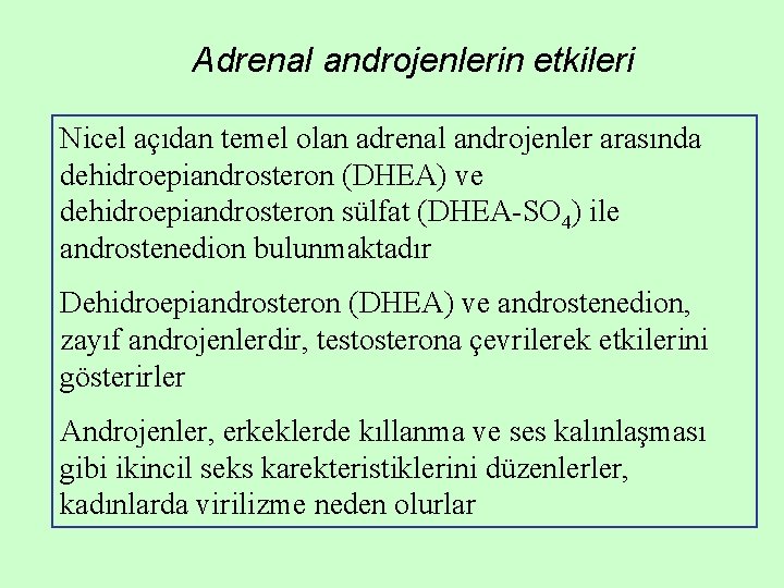 Adrenal androjenlerin etkileri Nicel açıdan temel olan adrenal androjenler arasında dehidroepiandrosteron (DHEA) ve dehidroepiandrosteron