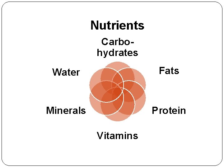 Nutrients Carbohydrates Water Fats Minerals Protein Vitamins 