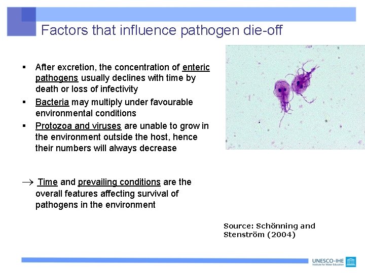 Factors that influence pathogen die-off § § § After excretion, the concentration of enteric