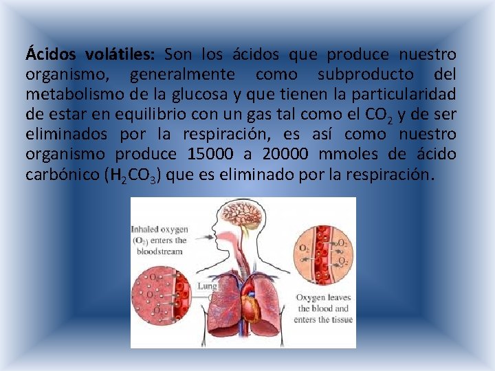 Ácidos volátiles: Son los ácidos que produce nuestro organismo, generalmente como subproducto del metabolismo