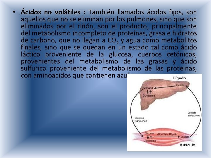  • Ácidos no volátiles : También llamados ácidos fijos, son aquellos que no