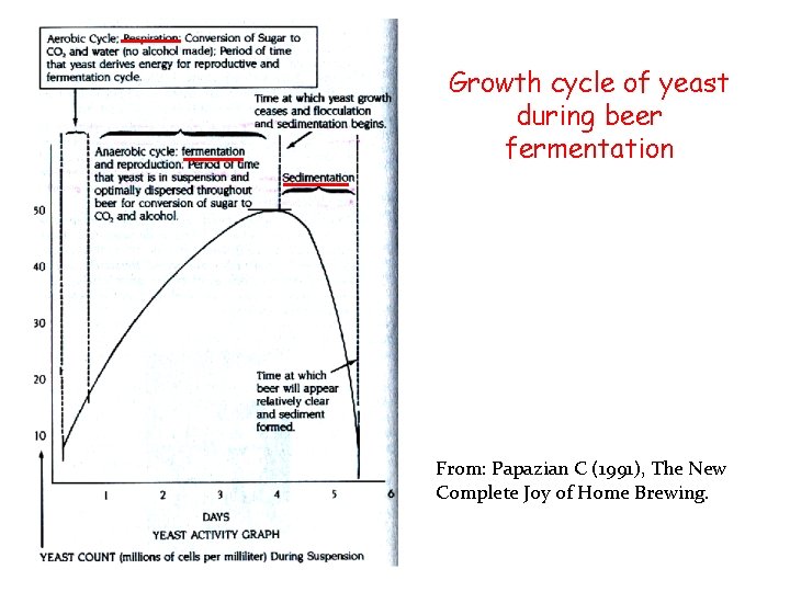 Growth cycle of yeast during beer fermentation From: Papazian C (1991), The New Complete