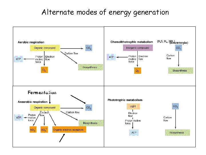 Alternate modes of energy generation (H 2 S, H 2, NH ) (in 3