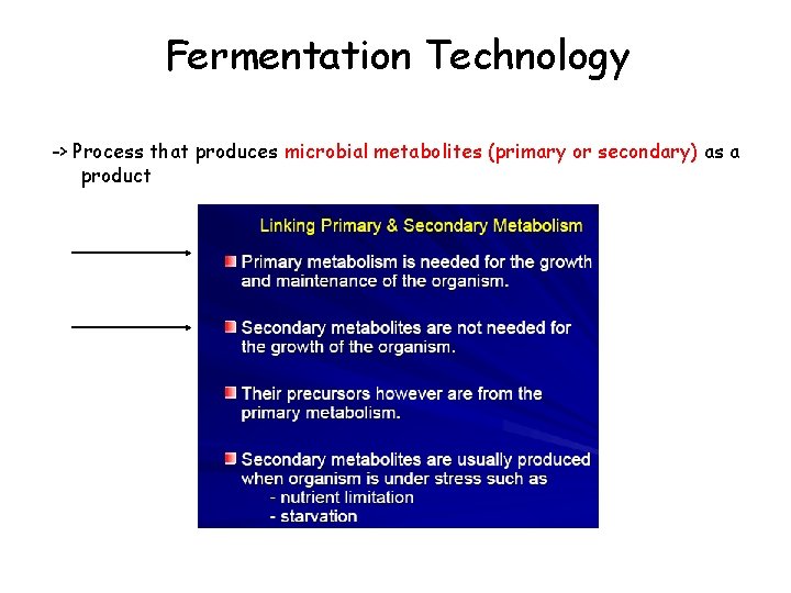 Fermentation Technology -> Process that produces microbial metabolites (primary or secondary) as a product