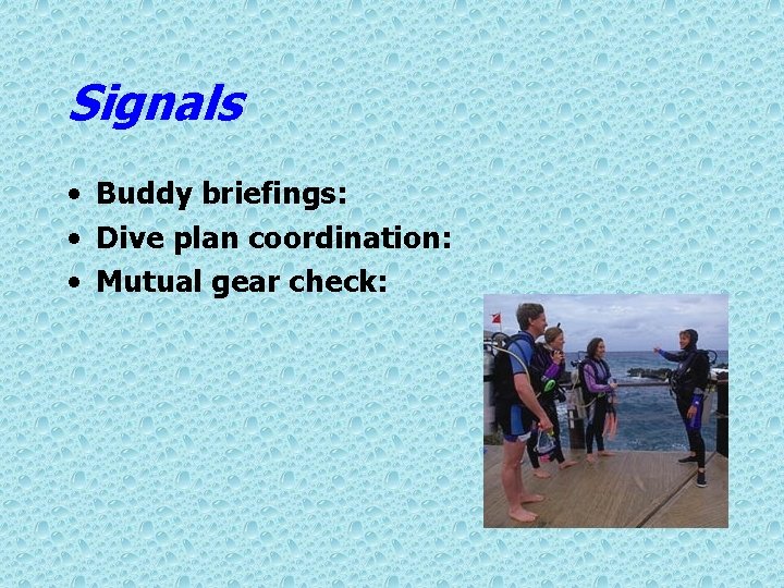 Signals • Buddy briefings: • Dive plan coordination: • Mutual gear check: 