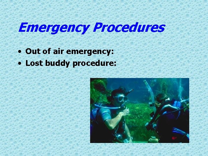 Emergency Procedures • Out of air emergency: • Lost buddy procedure: 