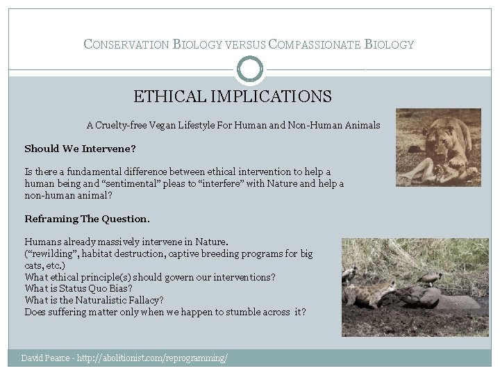 CONSERVATION BIOLOGY VERSUS COMPASSIONATE BIOLOGY ETHICAL IMPLICATIONS A Cruelty-free Vegan Lifestyle For Human and