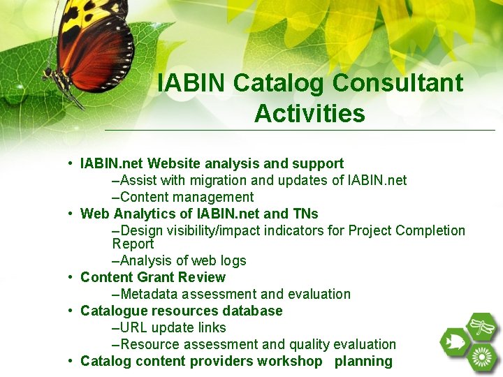 IABIN Catalog Consultant Activities • IABIN. net Website analysis and support –Assist with migration