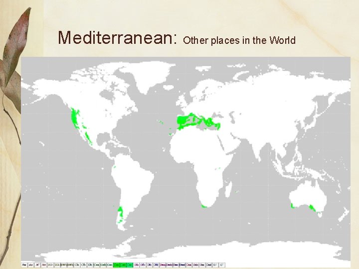 Mediterranean: Other places in the World  Mediterranean: Other places in the World
