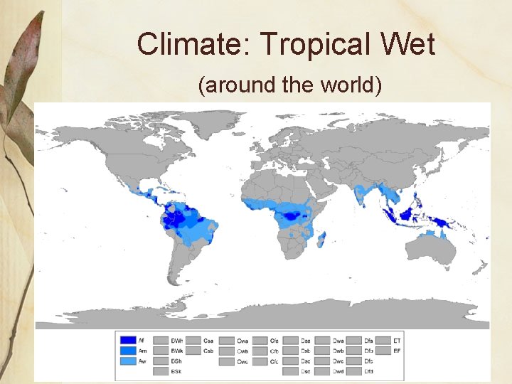 Climate: Tropical Wet (around the world)  Climate: Tropical Wet (around the world)