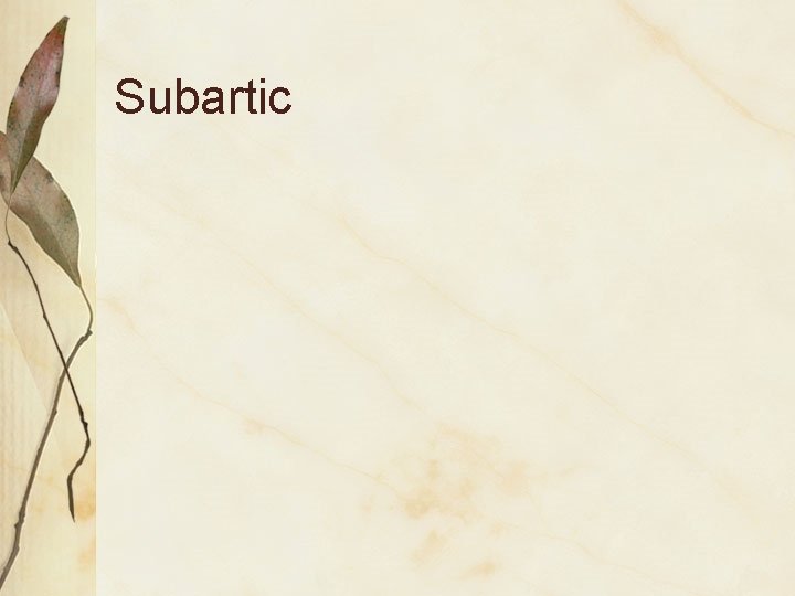 Subartic 