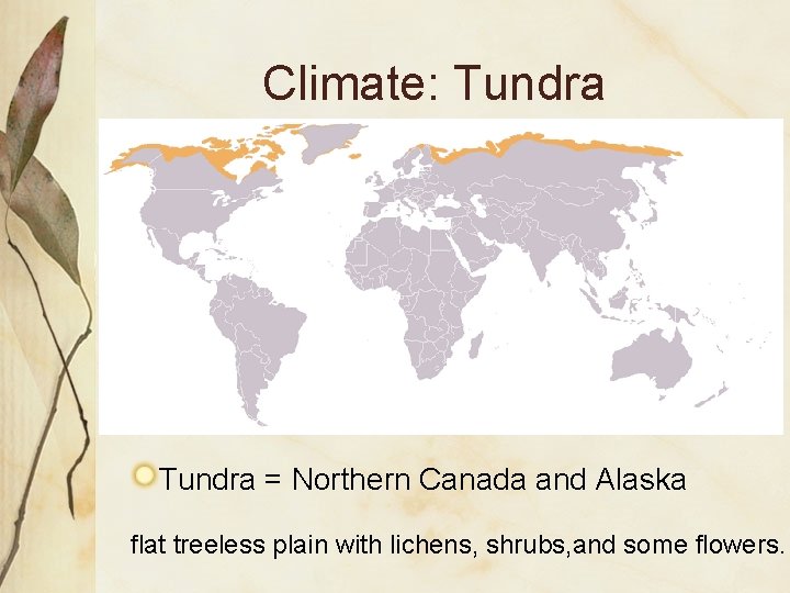 Climate: Tundra = Northern Canada and Alaska flat treeless plain with lichens, shrubs, and