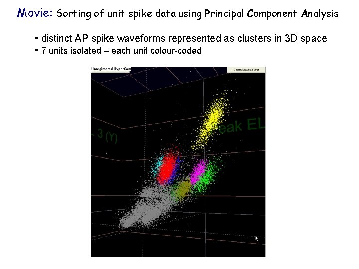 Movie: Sorting of unit spike data using Principal Component Analysis • distinct AP spike