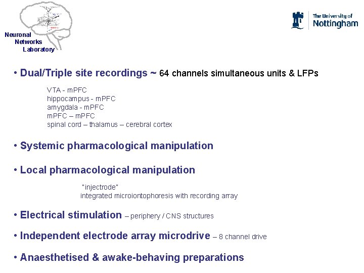 Neuronal Networks Laboratory • Dual/Triple site recordings ~ 64 channels simultaneous units & LFPs