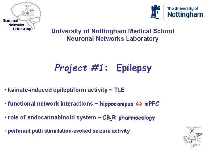 Neuronal Networks Laboratory University of Nottingham Medical School Neuronal Networks Laboratory Project #1: Epilepsy
