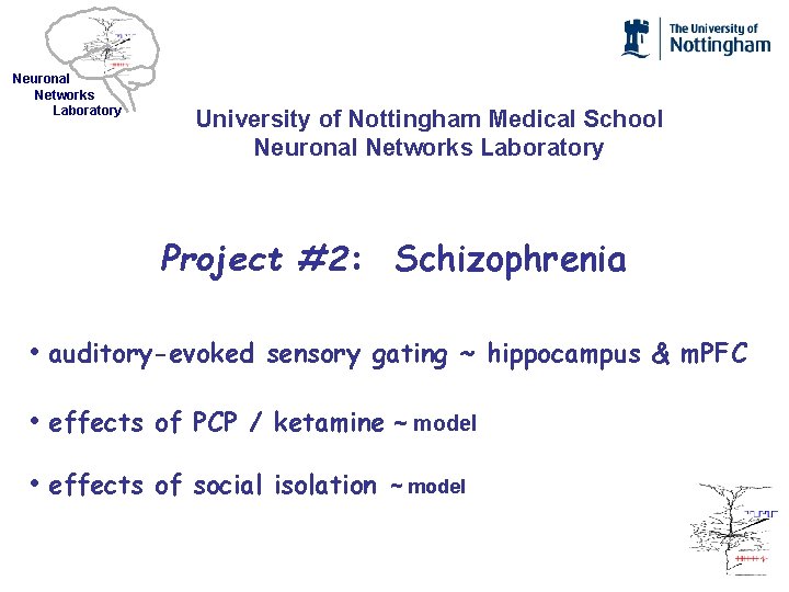 Neuronal Networks Laboratory University of Nottingham Medical School Neuronal Networks Laboratory Project #2: Schizophrenia