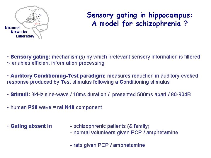 Neuronal Networks Laboratory Sensory gating in hippocampus: A model for schizophrenia ? • Sensory