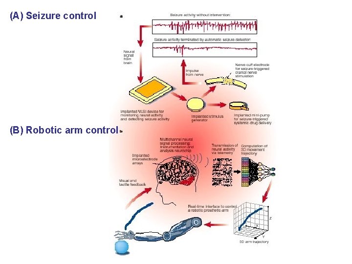 (A) Seizure control (B) Robotic arm control 