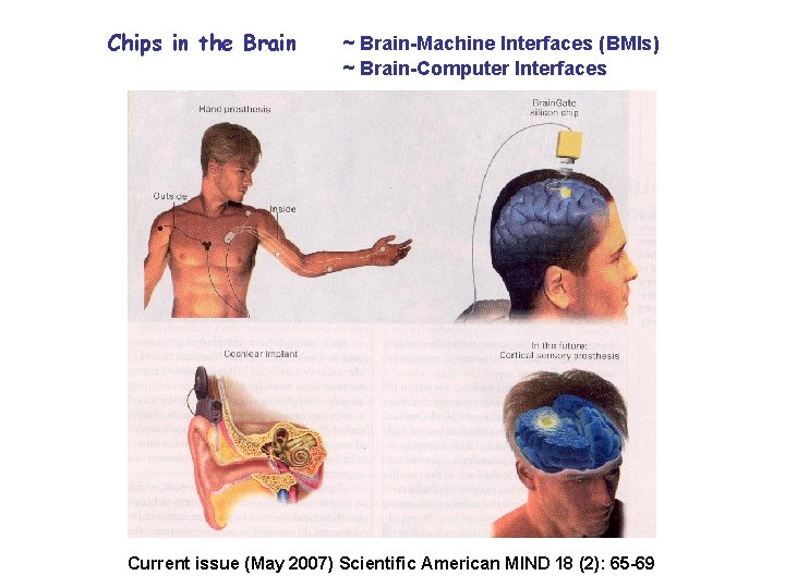 Chips in the Brain ~ Brain-Machine Interfaces (BMIs) ~ Brain-Computer Interfaces Current issue (May